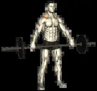 Starting position for the Barbell Shrug