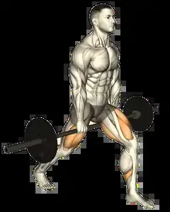 Starting position for the Barbell Split Squat