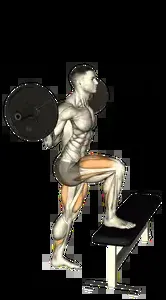 Starting position for the Barbell Step-Up