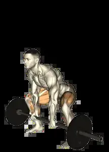 Starting position for the Barbell Sumo Deadlift