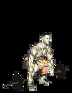 Starting position for the Barbell Tempo Deadlift