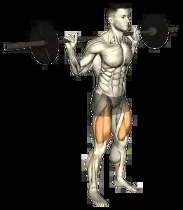 Starting position for the Barbell Tempo Squat
