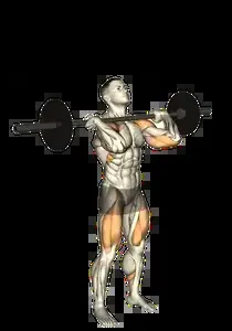 Starting position for the Barbell Thruster