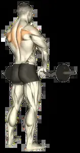 Starting position for the Barbell Upright Row