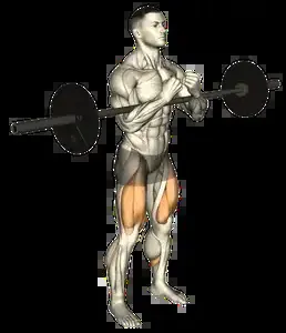 Starting position for the Barbell Zercher Squat