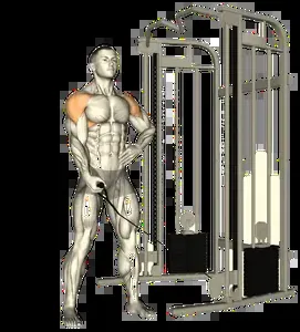 Starting position for the Behind-the-Back Cable Lateral Raise