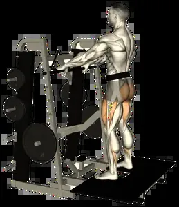 Starting position for the Belt Squat Machine