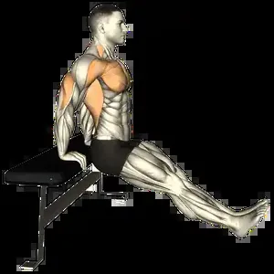 Starting position for the Bench Dip