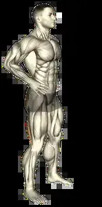 Starting position for the Bodyweight Good Morning