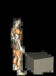 Starting position for the Box Jump Over