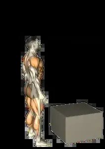 Starting position for the Box Jump