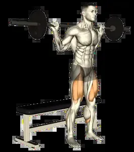 Starting position for the Box Squat to Bench