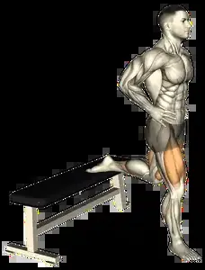 Starting position for the Bulgarian Split Squat