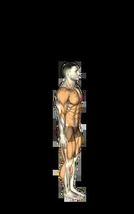 Starting position for the Burpee