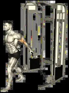 Starting position for the Cable Biceps Curl