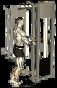 Starting position for the Cable Calf Raise
