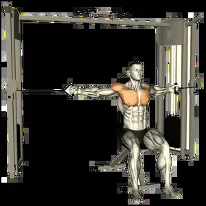 Starting position for the Cable Chest Fly