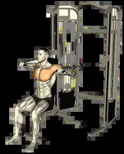 Starting position for the Cable Chest Press