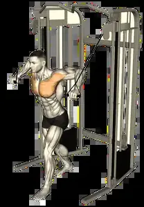 Starting position for the Cable Crossover