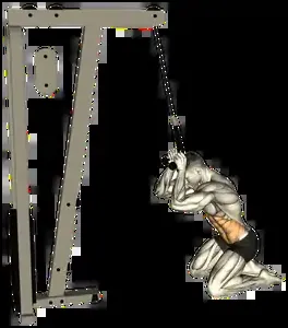 Starting position for the Cable Crunch