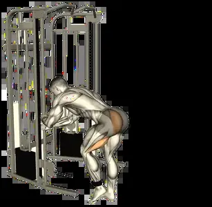 Starting position for the Cable Donkey Kick