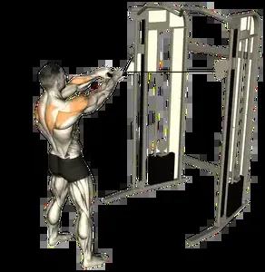 Starting position for the Cable Face Pull