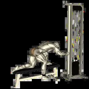 Starting position for the Cable Glute Kickback