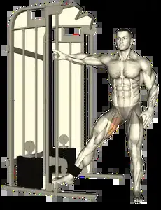 Starting position for the Cable Hip Adduction