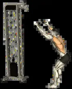 Starting position for the Cable Lat Pulldown