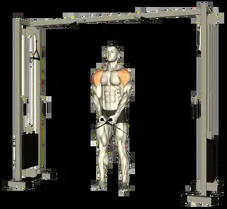Starting position for the Cable Lateral Raise