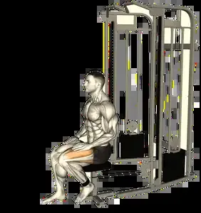 Starting position for the Cable Leg Extension