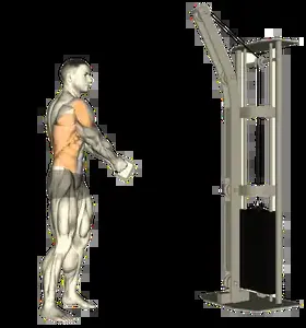 Starting position for the Cable Lift