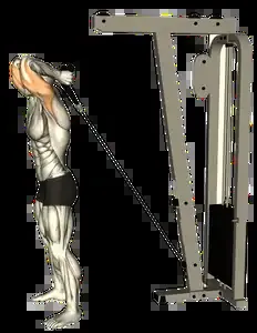 Starting position for the Cable Overhead Triceps Extension