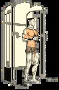 Starting position for the Cable Pallof Press