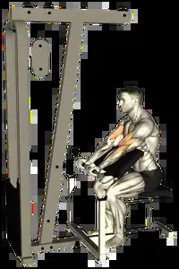 Starting position for the Cable Preacher Curl
