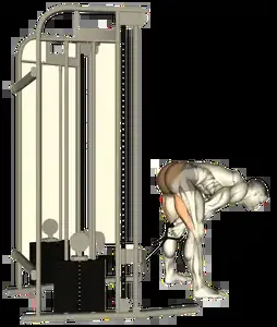 Starting position for the Cable Pull-Through
