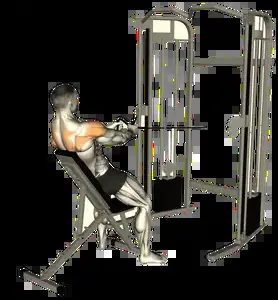 Starting position for the Cable Rear Delt Fly