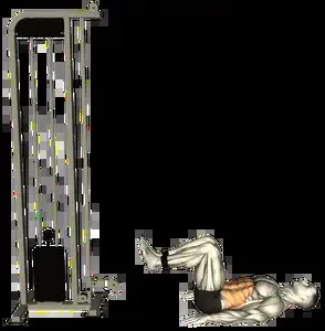Starting position for the Cable Reverse Crunch