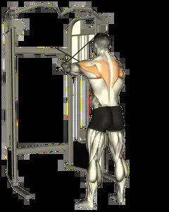 Starting position for the Cable Reverse Fly