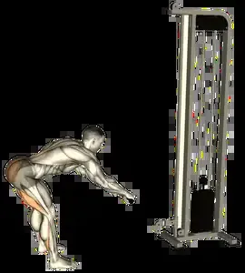 Starting position for the Cable Romanian Deadlift