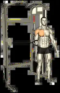 Starting position for the Cable Rotation
