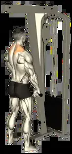 Starting position for the Cable Shrug
