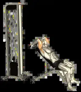 Starting position for the Cable Skull Crusher