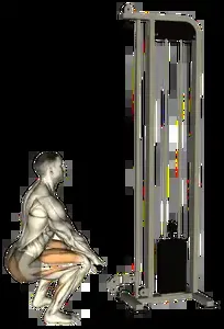 Starting position for the Cable Squat