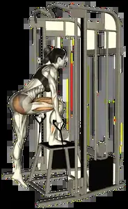 Starting position for the Cable Step-Up