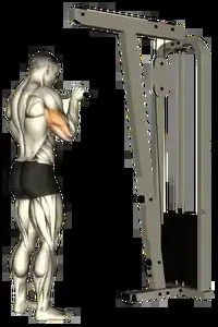 Starting position for the Cable Triceps Pushdown
