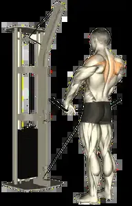 Starting position for the Cable Upright Row