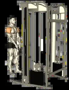 Starting position for the Cable Y-Raise