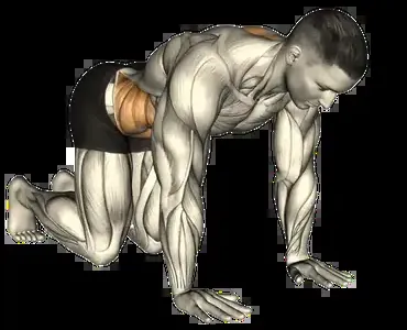 Starting position for the Cat-Cow