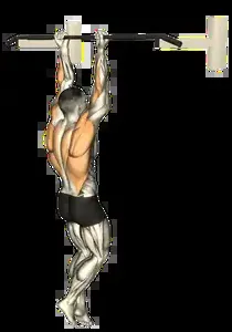 Starting position for the Chin-Up